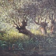 FelixPOSSARD (5) FelixPOSSARD (5)